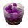 Plum-Exotic Fruits Pop-Up