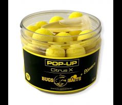Citrus X Pop-Up