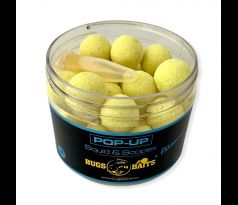 Squid&Scopex Pop-Up