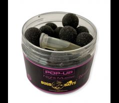 Night Mussel- Pop-Up