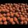 Boilies Nutrra Crab