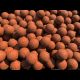 Boilies Nutrra Crab