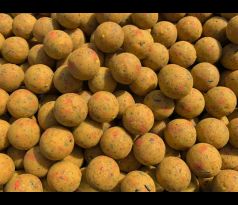 Boilies Squid&Scopex