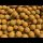 Boilies Squid&Scopex