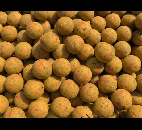 Boilies Squid&Scopex
