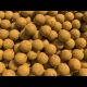 Boilies Squid&Scopex