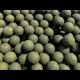 Boilies Night Mussel NEW