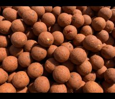 Boilies Salmon Spice