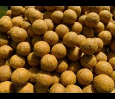 Monster Nut & Scopex Stimul Boilies 5kg