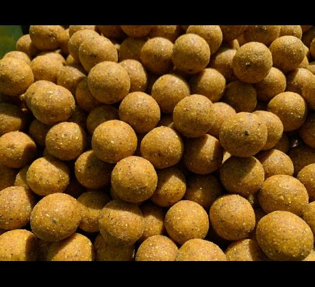 Monster Nut & Scopex Stimul Boilies 5kg