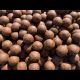 Ocean Krill & Mussel Stimul Boilies 5kg