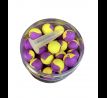 Citrus Mango Duo Fluo Pop-Up
