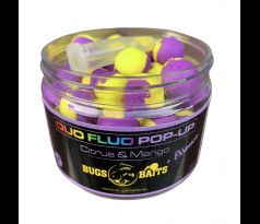 Citrus Mango Duo Fluo Pop-Up