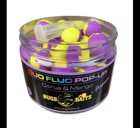 Citrus Mango Duo Fluo Pop-Up