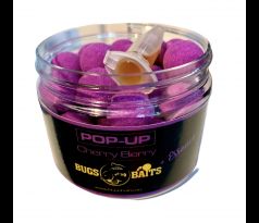 Race Berry Pop-Up