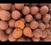 Race Berry 20mm / 1kg