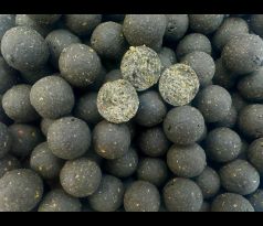 Boilies Night Mussel NEW