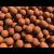 Boilies Salmon Spice