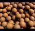 Boilies Liver&Krill 24mm / 5kg