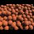 Boilies Nutrra Crab