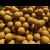 Monster Nut & Scopex Stimul Boilies 5kg