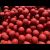 Chili Salmon & Squid Stimul Boilies 5kg