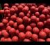Chili Salmon & Squid Stimul Boilies 5kg 20mm / 5kg