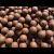 Ocean Krill & Mussel Stimul Boilies 5kg